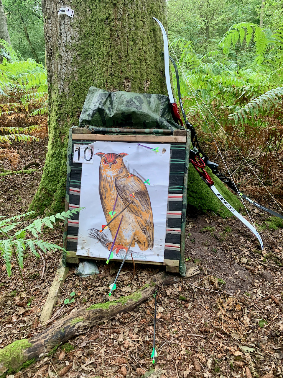 Newbury and Thatcham Archers - A woodland target depicting an owl. 